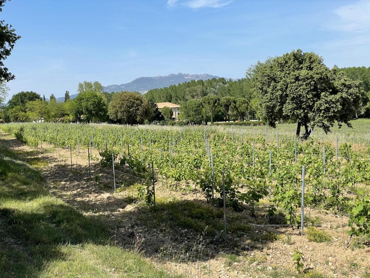 Chateau Talaud 罗瑞尔杜康姆泰特 外观 照片