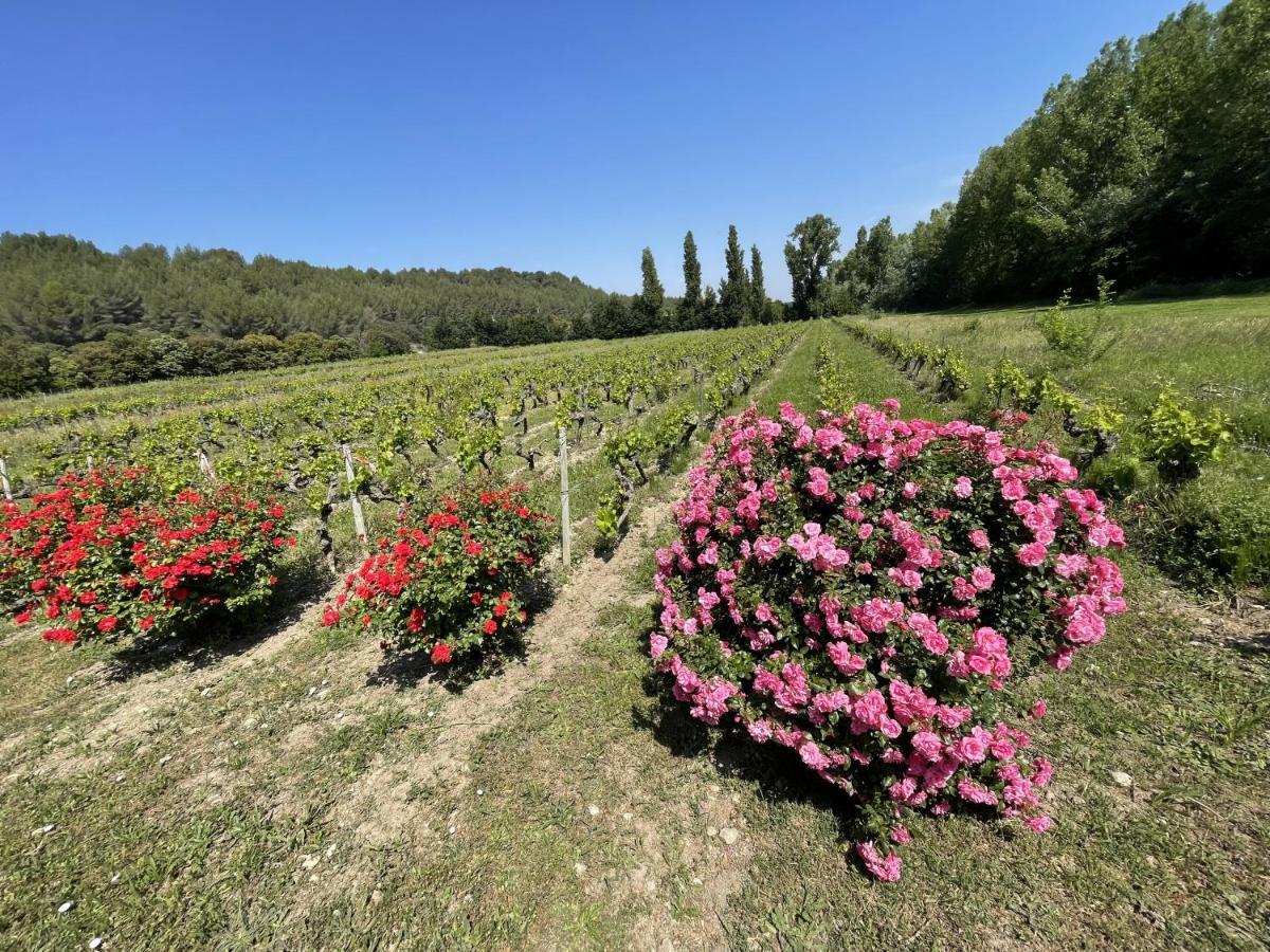 Chateau Talaud 罗瑞尔杜康姆泰特 外观 照片
