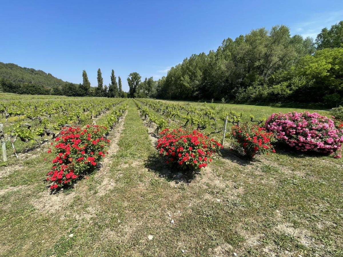 Chateau Talaud 罗瑞尔杜康姆泰特 外观 照片